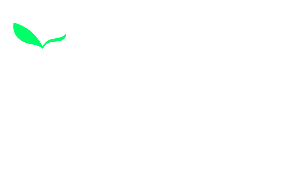 orange3333